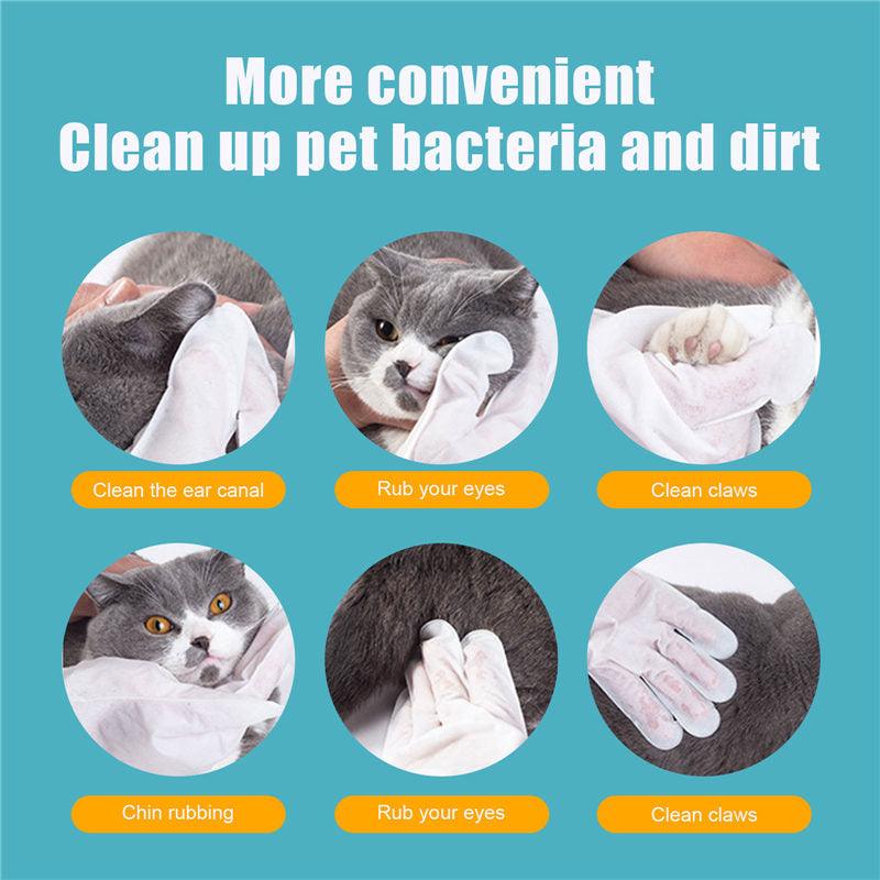 Pet Care Essentials: 6-Pack Of Disposable Non-Woven Gloves For A Clean