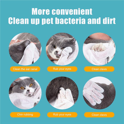 Pet Care Essentials: 6-Pack Of Disposable Non-Woven Gloves For A Clean