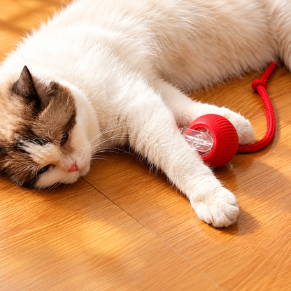 Automatic Rolling Teaser Ball for Cats