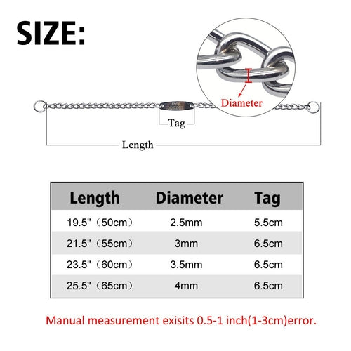Custom Pet Dog Chain Slip Collar Personalized Pets