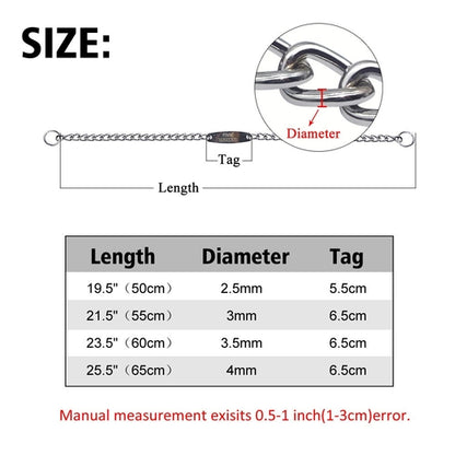 Custom Pet Dog Chain Slip Collar Personalized Pets
