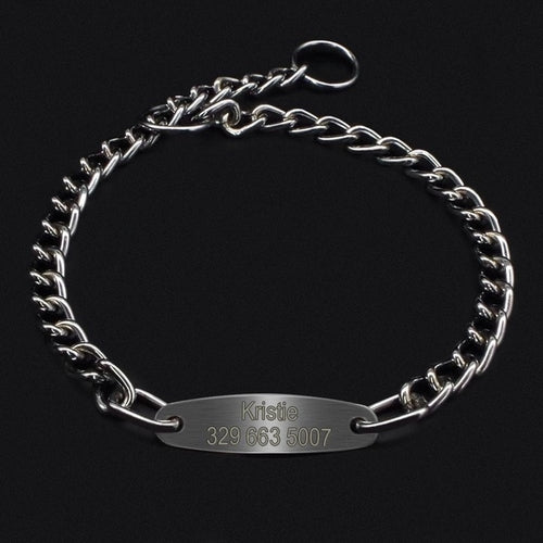 Custom Pet Dog Chain Slip Collar Personalized Pets