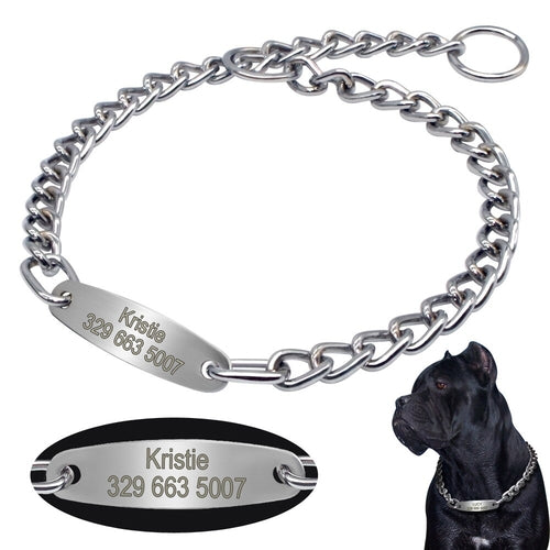 Custom Pet Dog Chain Slip Collar Personalized Pets