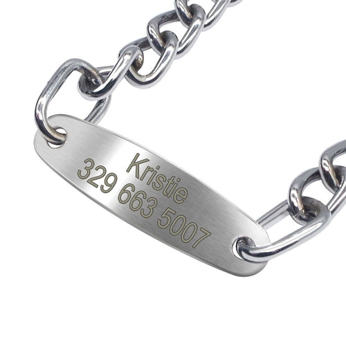 Custom Pet Dog Chain Slip Collar Personalized Pets