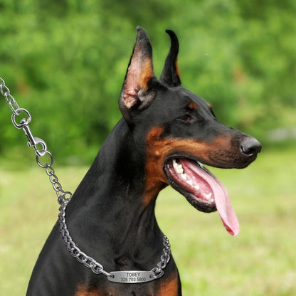 Custom Pet Dog Chain Slip Collar Personalized Pets