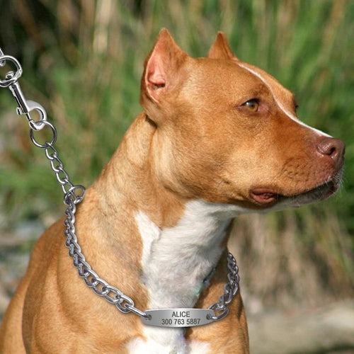 Custom Pet Dog Chain Slip Collar Personalized Pets