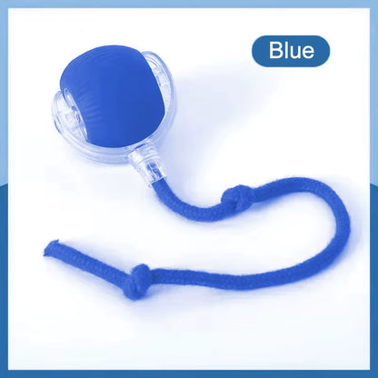 Cat Interactive Ball Toys Automatic Rolling Ball For Kitten Rechargeable Smart Pet Electric Toys With Teaser Sensor Cat Ball