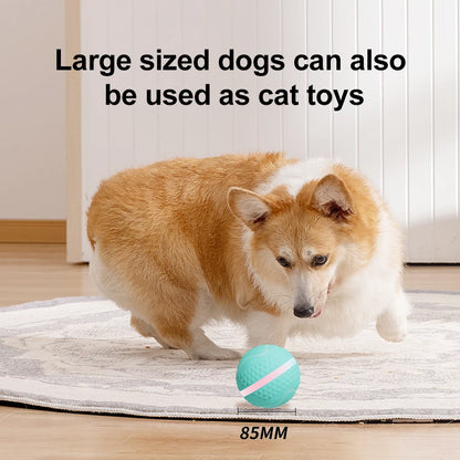 2024 New Automatic Pet Supplies USB Charged Smart Jumping Ball Interactive Pet Dog Ball Toys