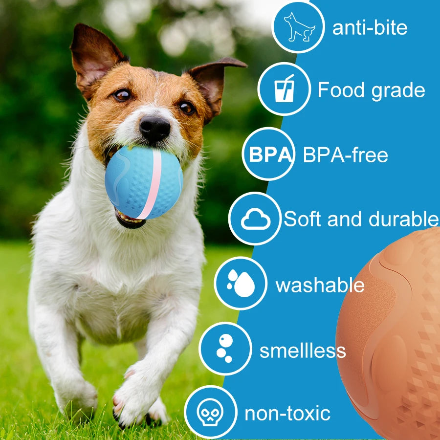 2024 New Automatic Pet Supplies USB Charged Smart Jumping Ball Interactive Pet Dog Ball Toys