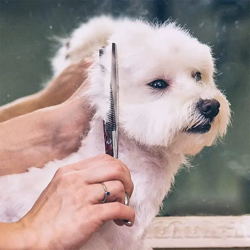 Premium Pet Grooming Scissors Safety Round Tip,  Scissors Portable Stainless Steel Shears For Dogs & Cats Pets Shears Supplies