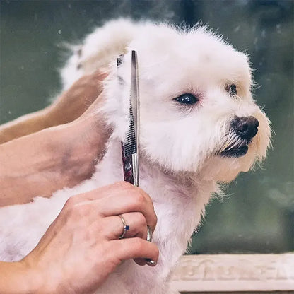 Premium Pet Grooming Scissors Safety Round Tip,  Scissors Portable Stainless Steel Shears For Dogs & Cats Pets Shears Supplies