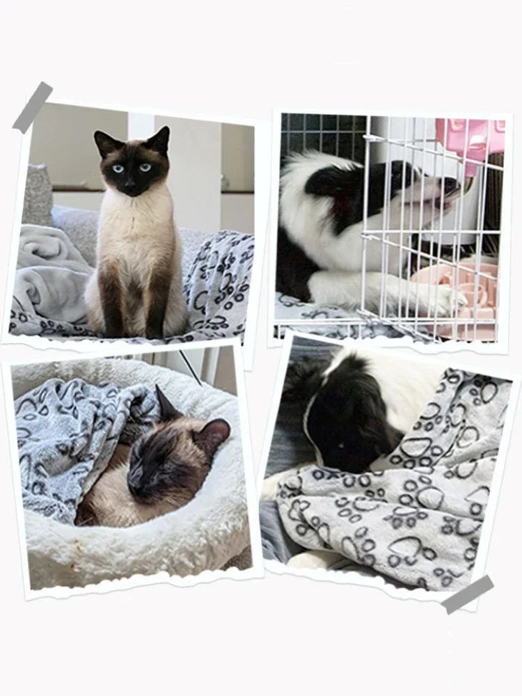 Ultra Soft Fluffy High Quality Pet Blanket Cute Cartoon Pattern Pet Mat Warm and Comfortable Blanket for Cat Dogs Cat Bath Towel