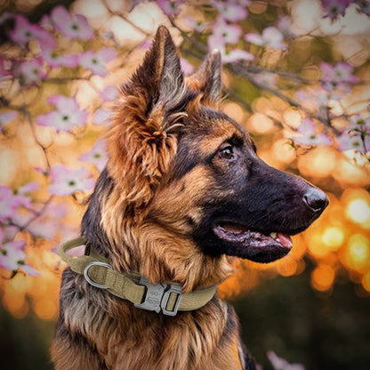 Military Tactical Dog Collar Leash Set Durable Pet Collar Retractable Leash Medium Large Dog German Shepherd Training Accessorie