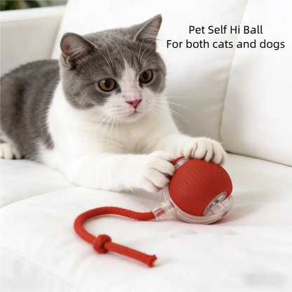 Cat Interactive Ball Toys Automatic Rolling Ball For Kitten Rechargeable Smart Pet Electric Toys With Teaser Sensor Cat Ball