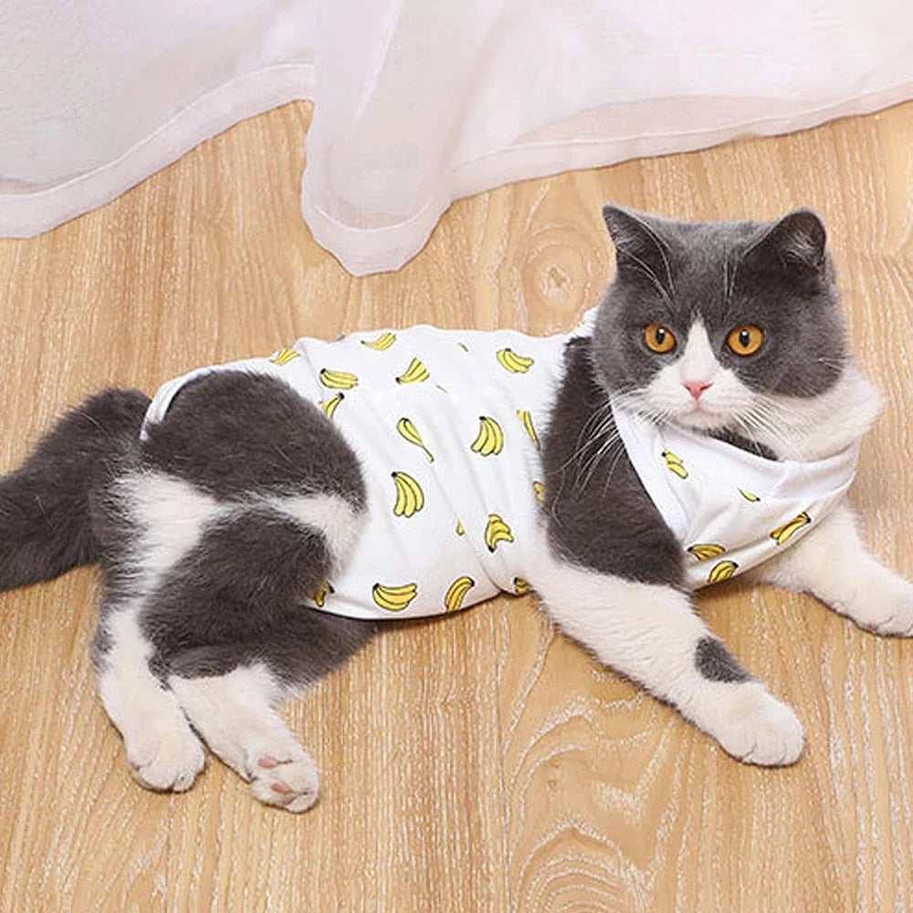 Pet Cat Weaning Cotton Clothes for Small Dog Sterilization Jumpsuit Anti-licking Surgery Recovery Care Suit Puppy Kitten Outfits