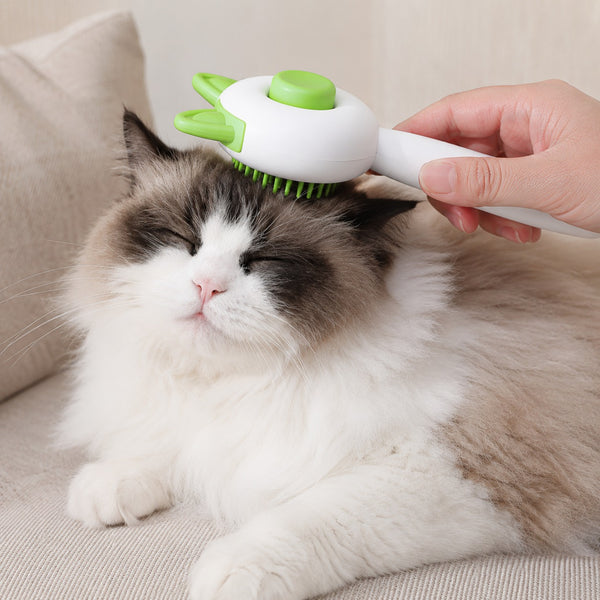 Brush