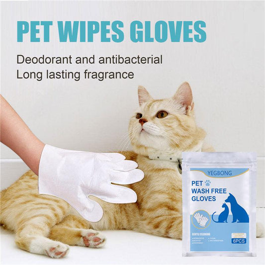 Pet Care Essentials: 6-Pack Of Disposable Non-Woven Gloves For A Clean