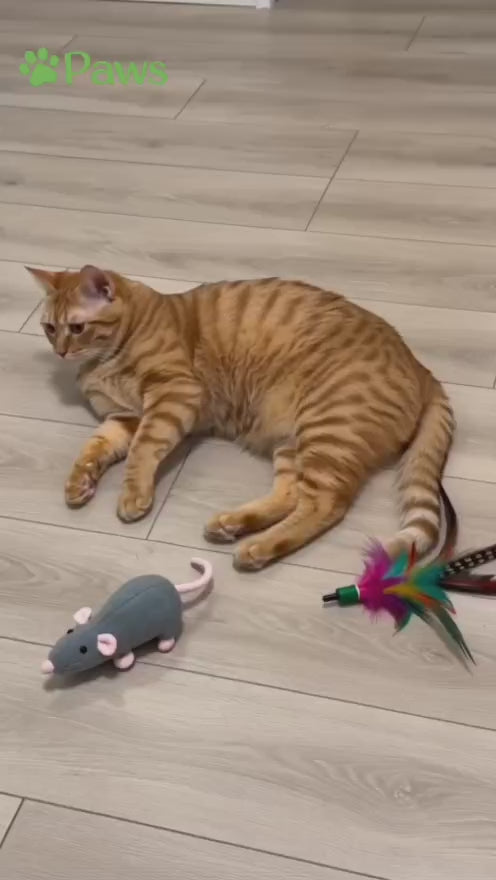Interactive Bird Toy for Indoor Cats