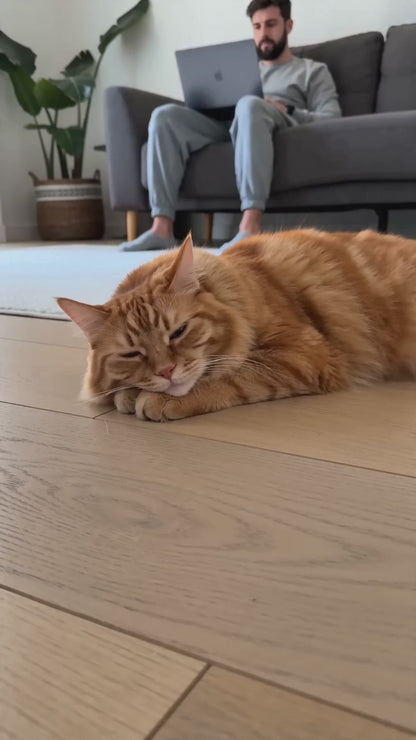 Interactive Vocal Bird Cat Toy