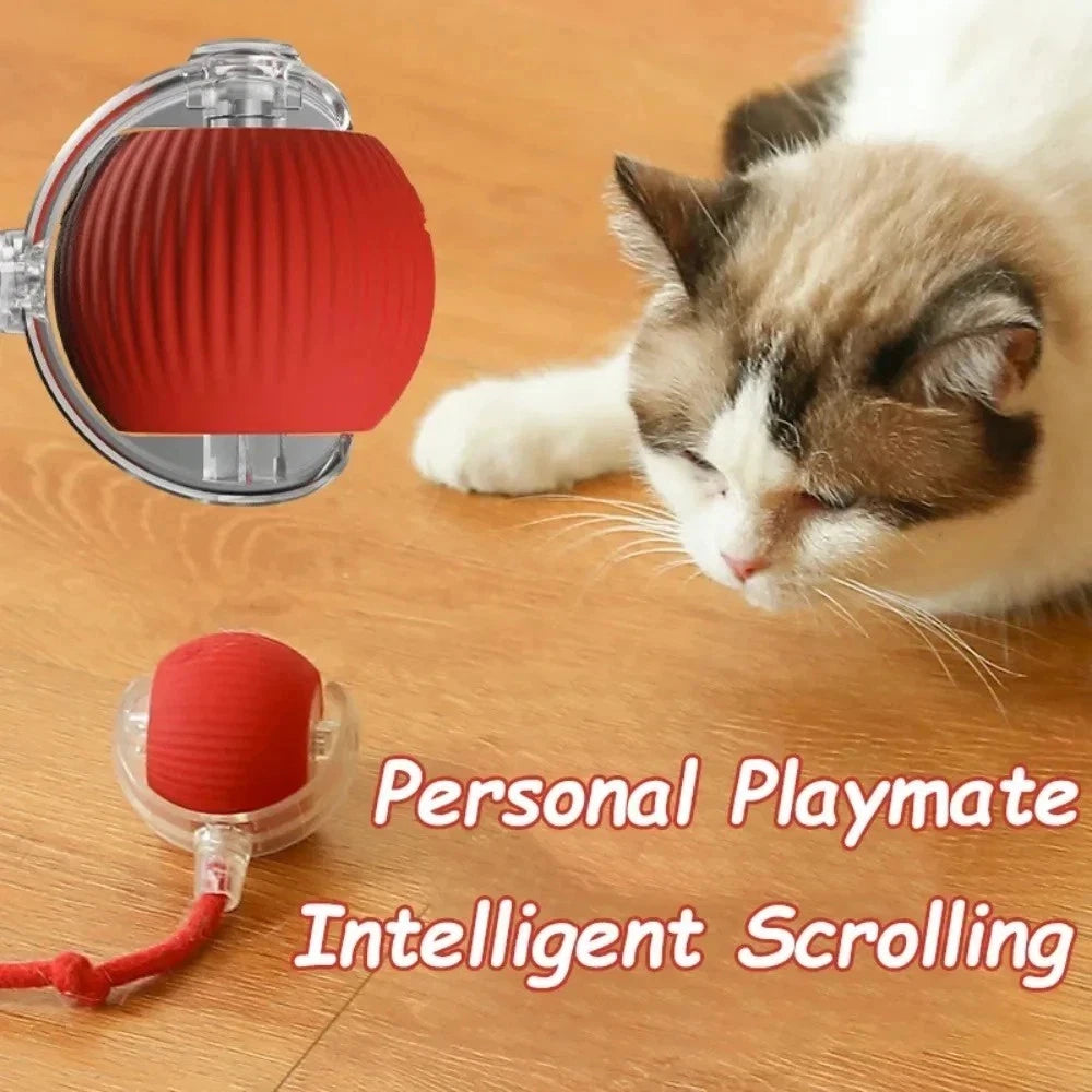 Cat Interactive Ball Toys Automatic Rolling Ball For Kitten Rechargeable Smart Pet Electric Toys With Teaser Sensor Cat Ball